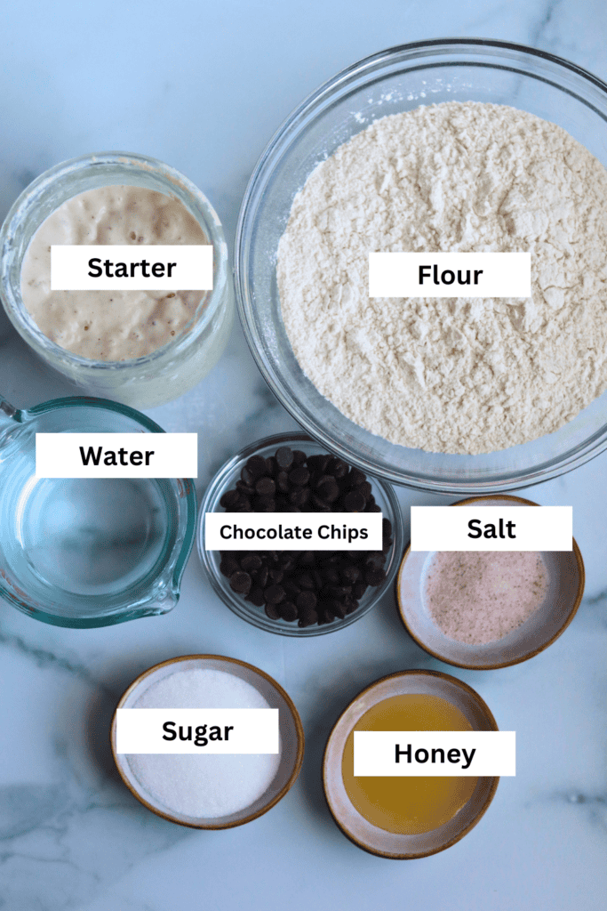 ingredients for making sourdough chocolate chip bagels