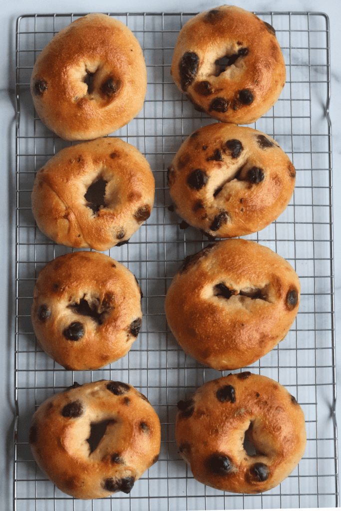 baked sourdough chocolate chip bagels
