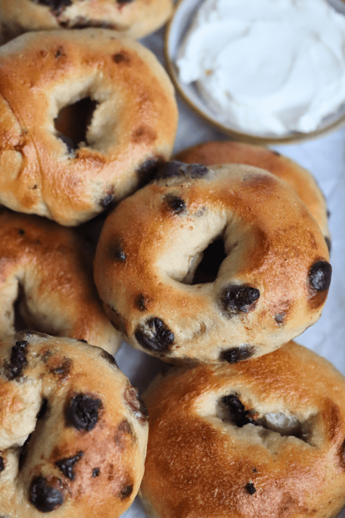 sourdough chocolate chip bagels