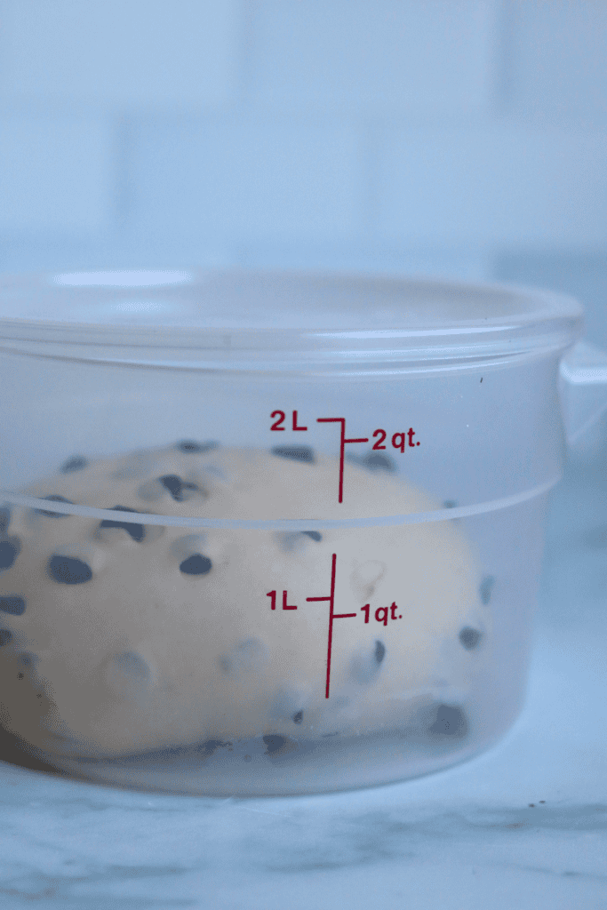 dough in a covered greased bowl