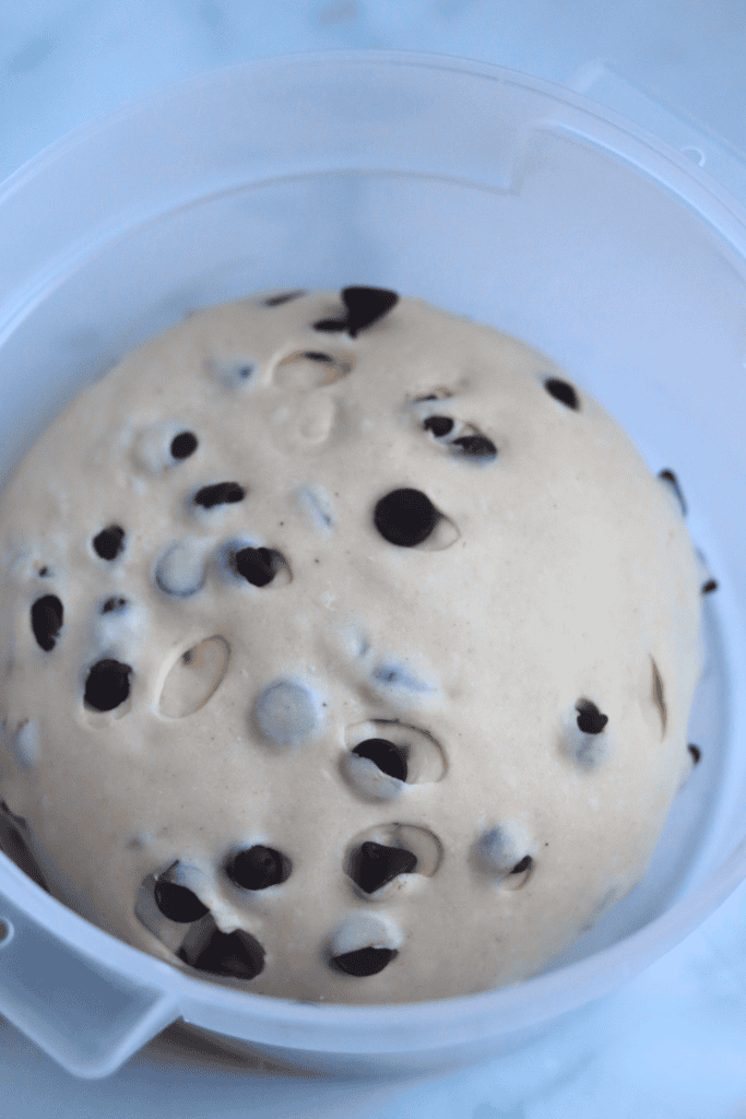 dough with chocolate chips