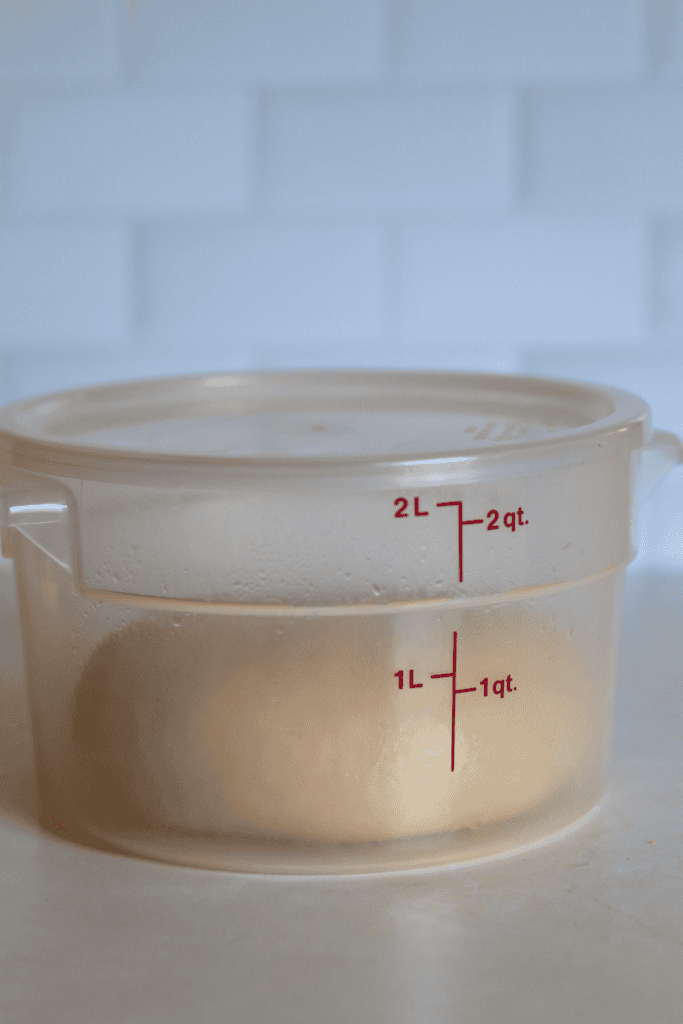 dough in a greased bowl covered