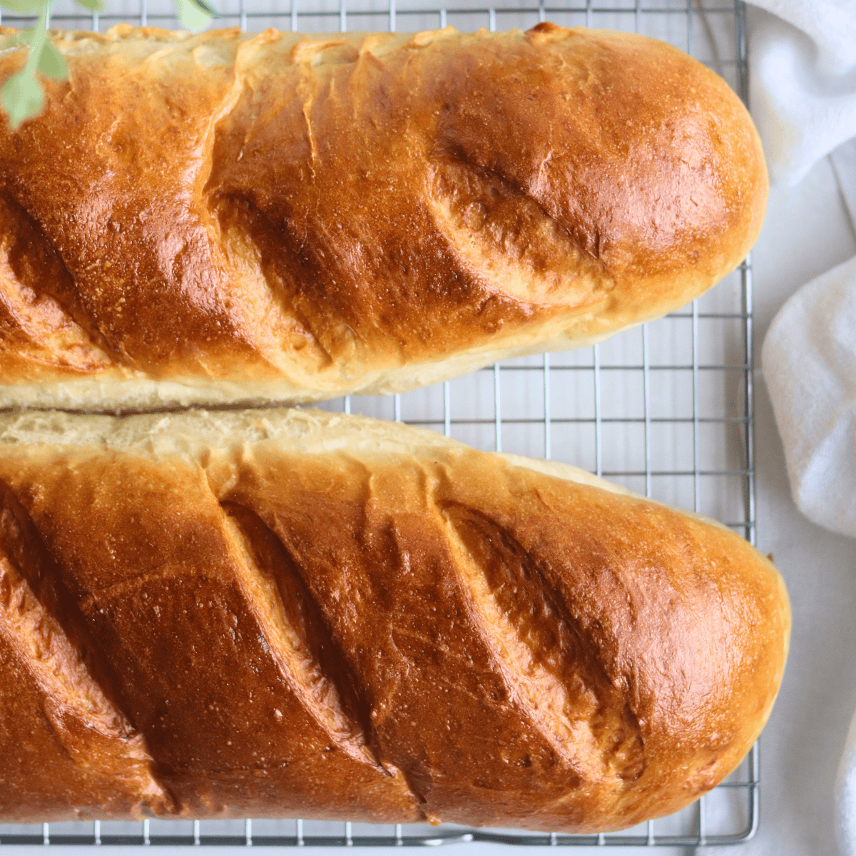 two loaves of sourdough discard French bread