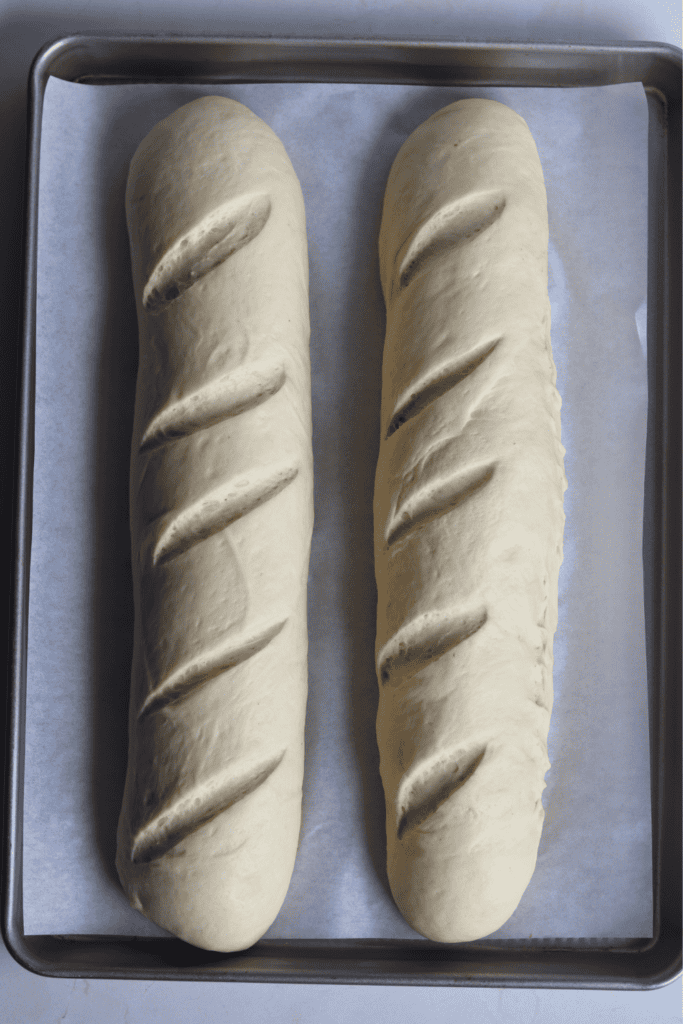 two shaped dough with slashes
