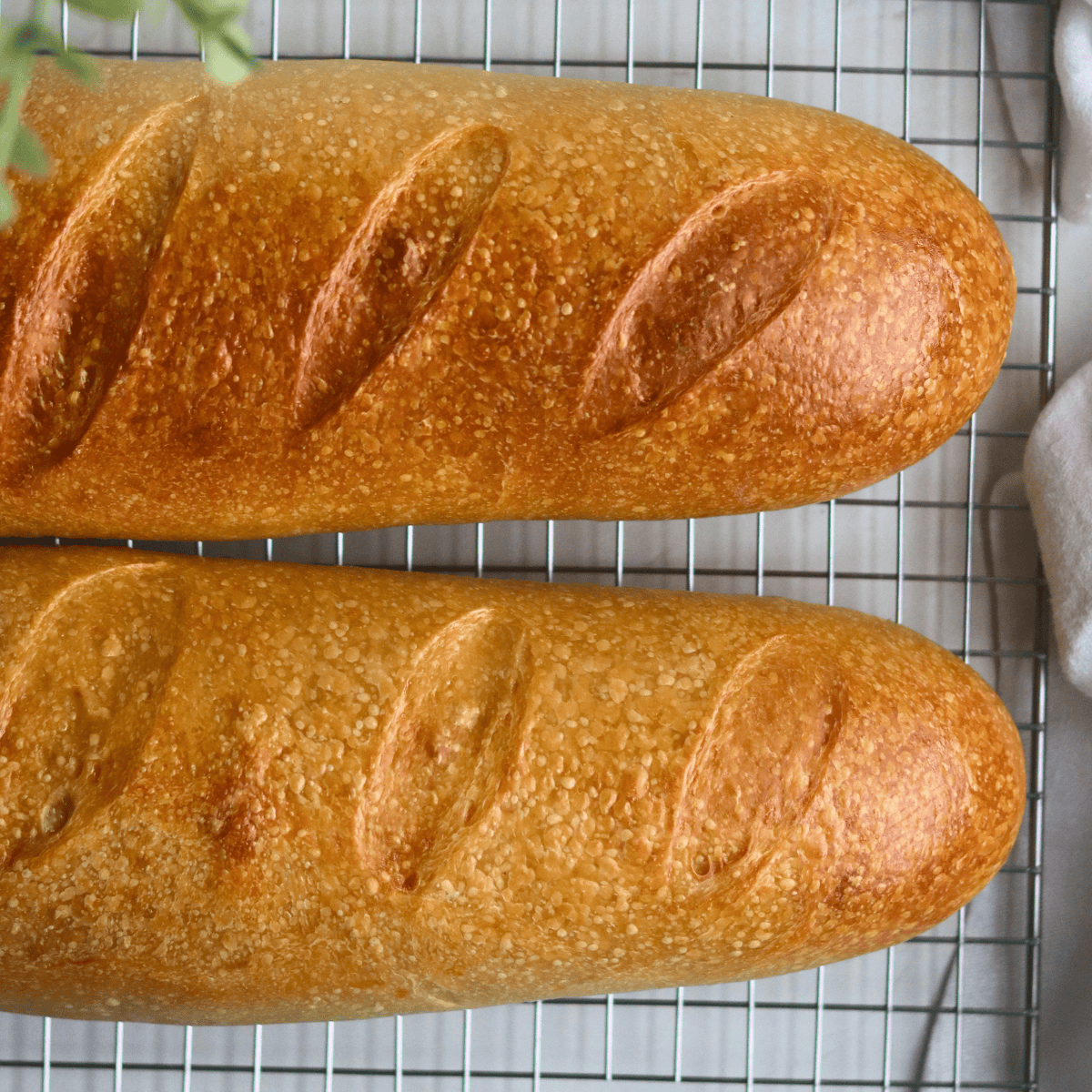 two loaves of sourdough French bread