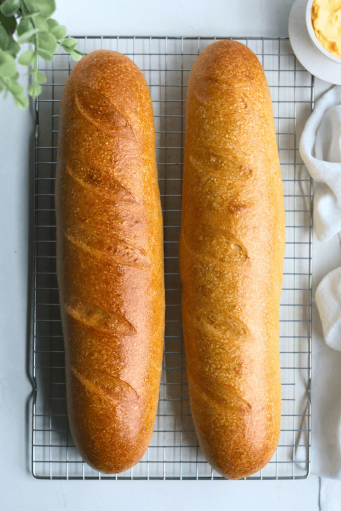 sourdough french bread
