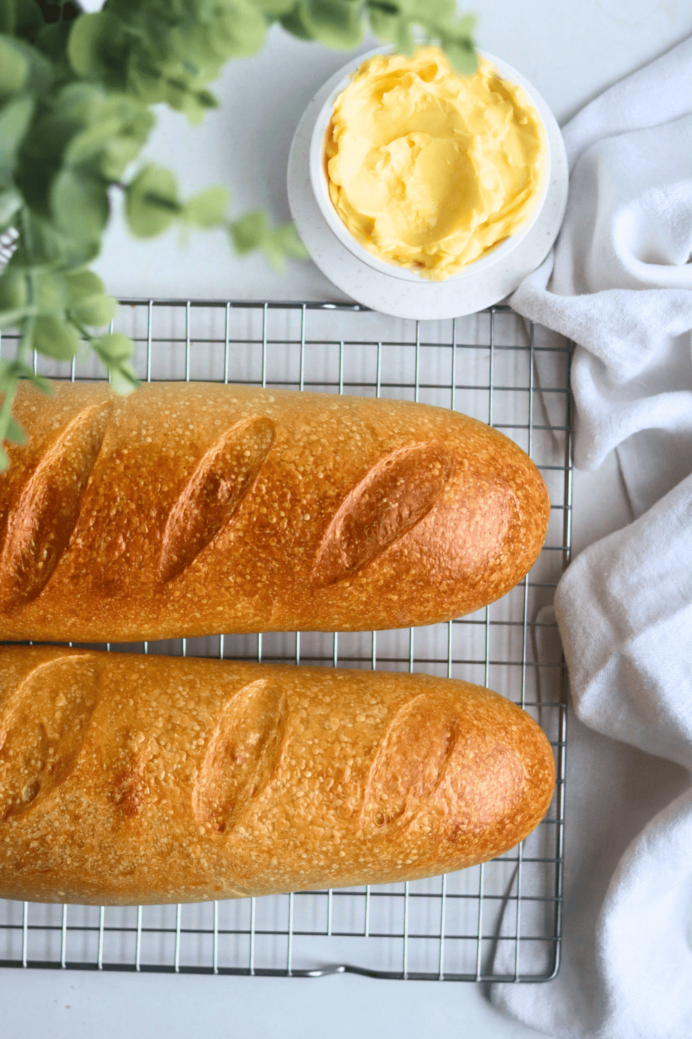 Sourdough French Bread
