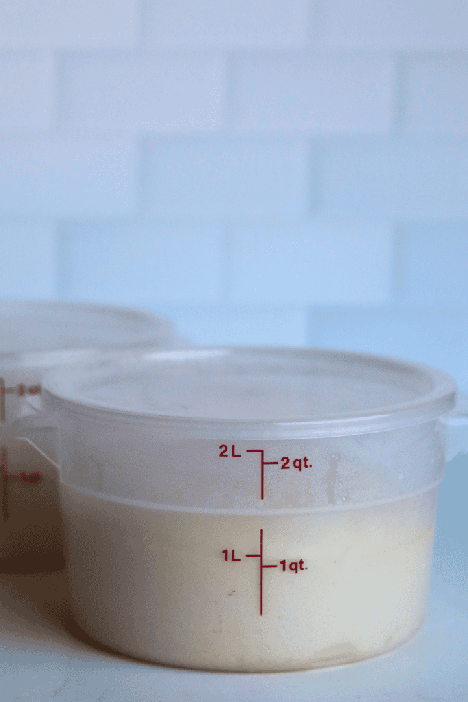 dough that has doubled in size