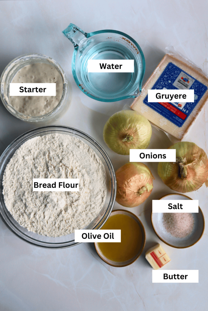 ingredients for making caramelized onion sourdough bread