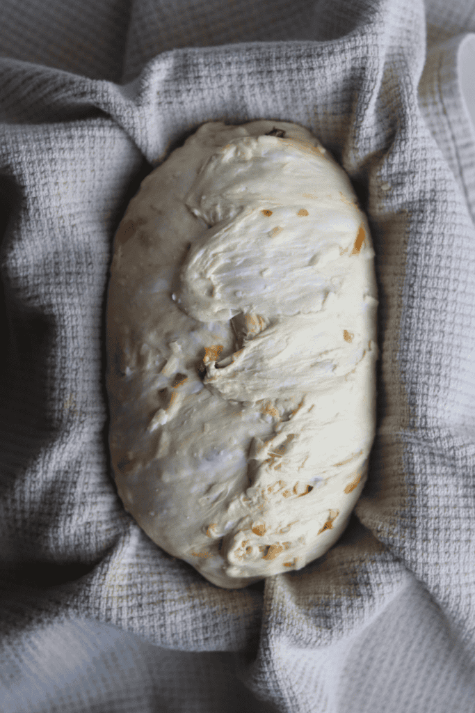 shaped caramelized onion sourdough bread dough in a banneton basket