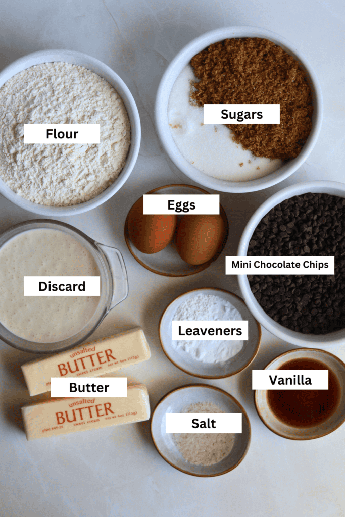 ingredients for making sourdough chocolate chip ice cream sandwich