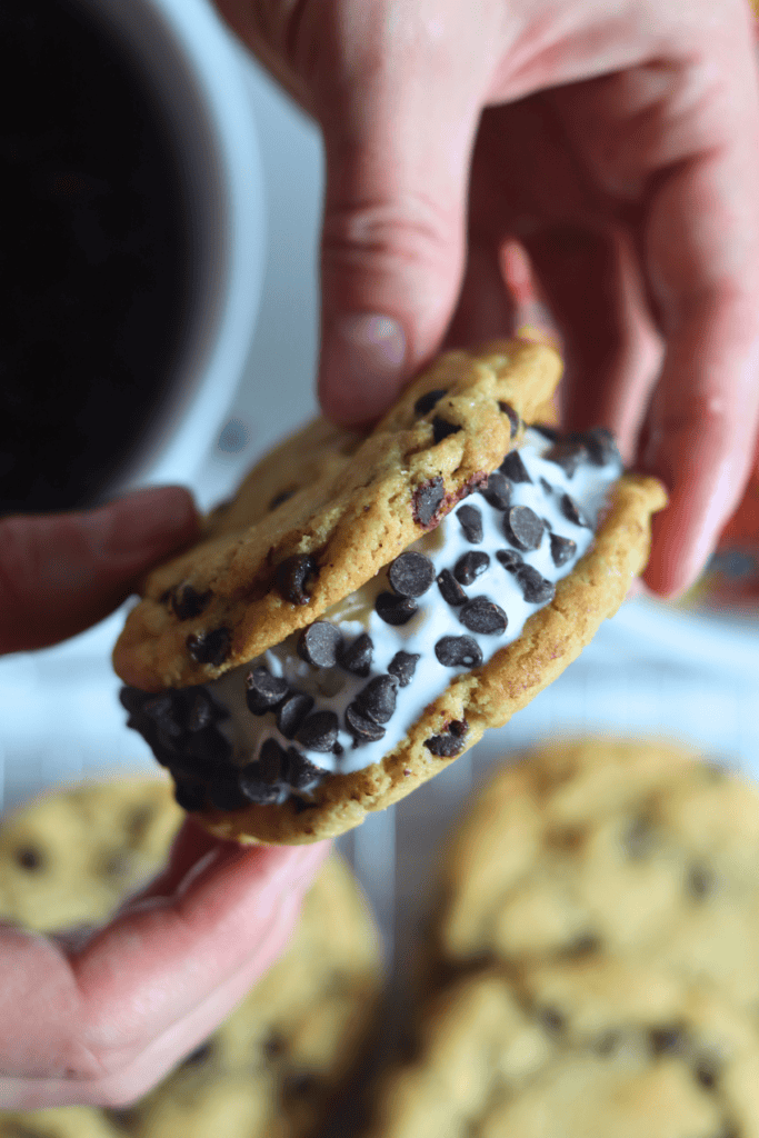 sourdough chocolate chip cookie ice cream sandwich