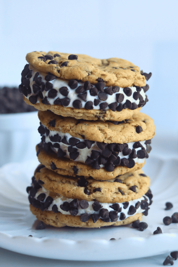 Sourdough Chocolate Chip Ice Cream Sandwich