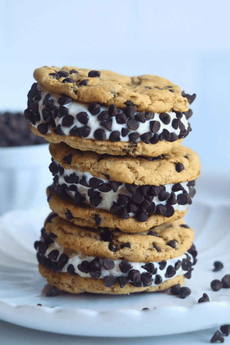 Sourdough Chocolate Chip Ice Cream Sandwich