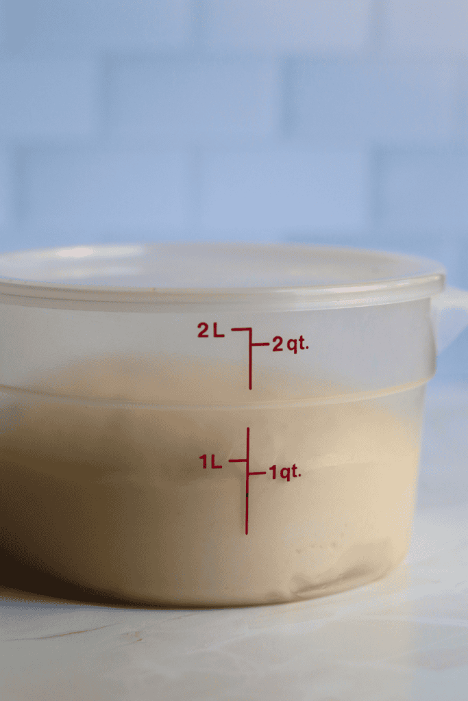 dough that has doubled in size
