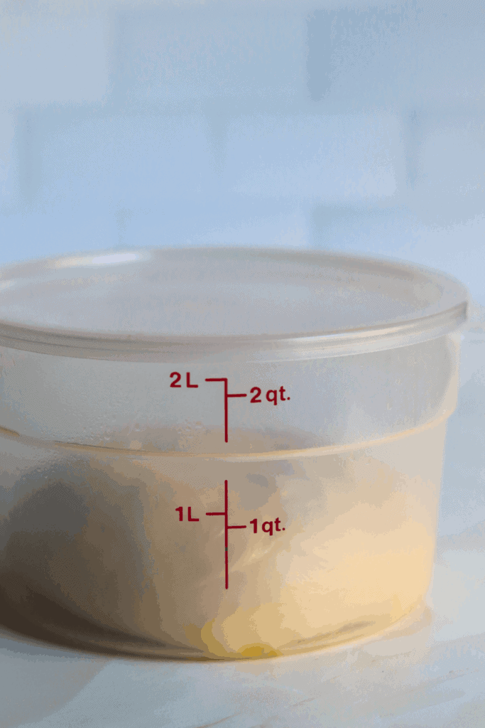 dough placed in a greased bowl