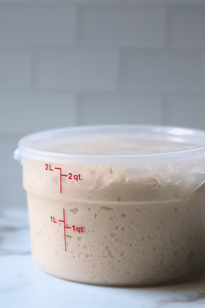 dough that has doubled in size