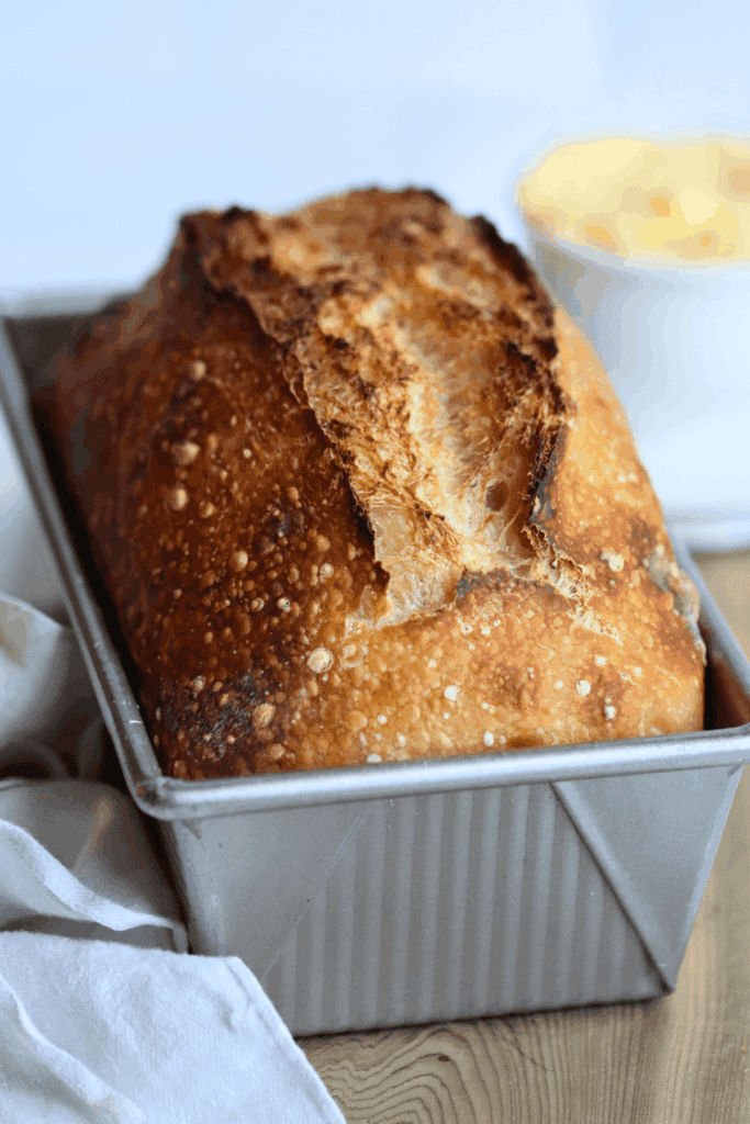 sourdough in a loaf pan