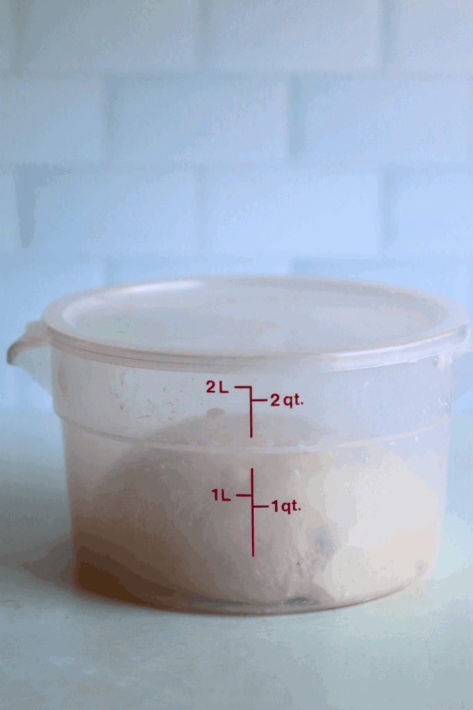 dough that has doubled in size