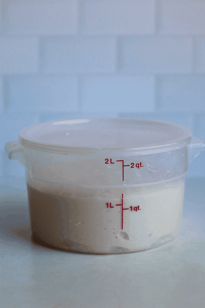 dough that has doubled in size