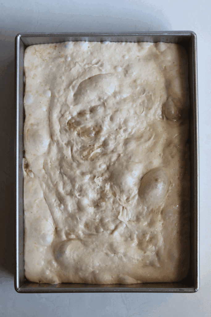 dough that has reached the final rise