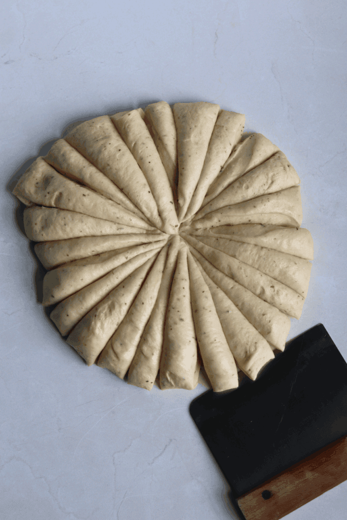 dough divided into 24 equal parts