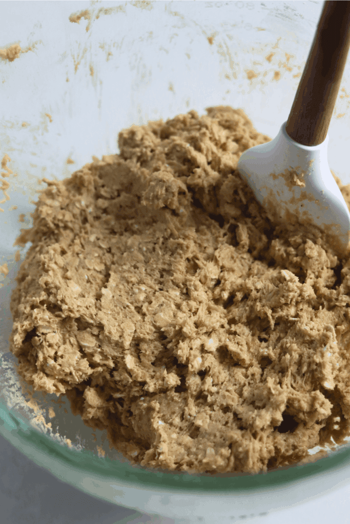 mixed dry and wet ingredients