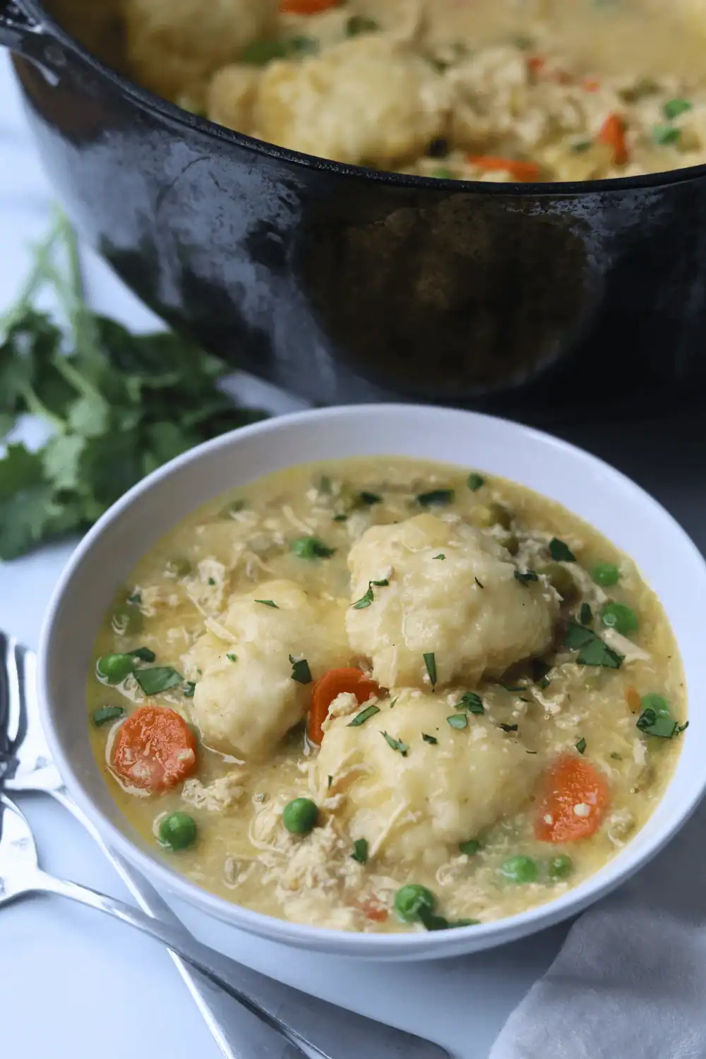 White bowl filled with a winter meal of chicken and sourdough dumplings.